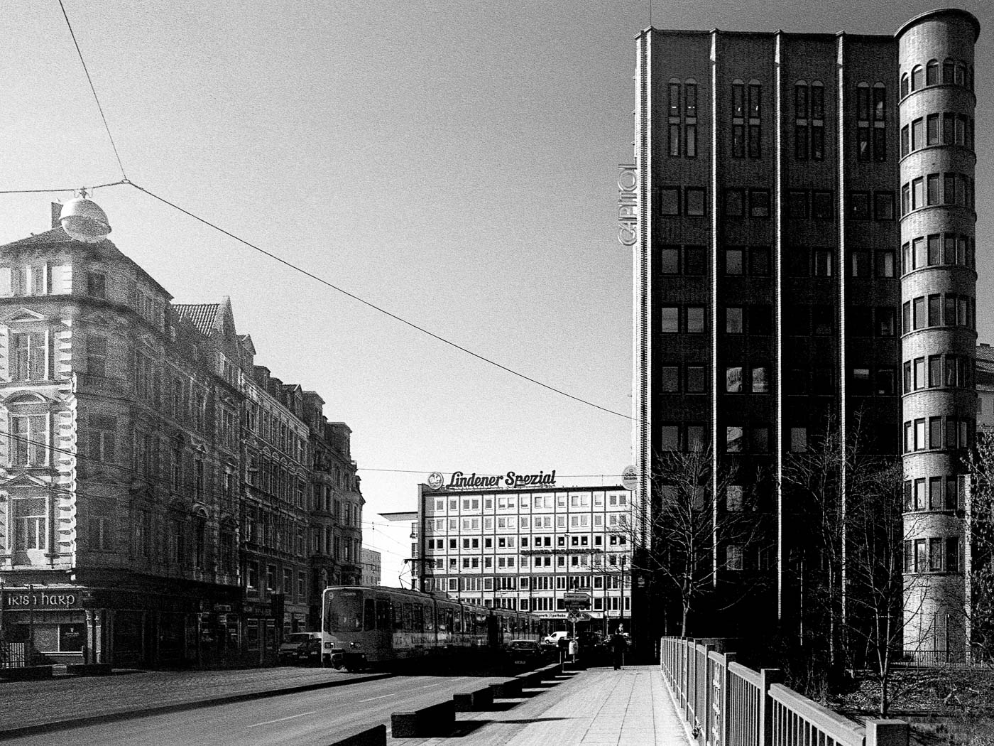 linden Linden . Schwarzer Bär 
