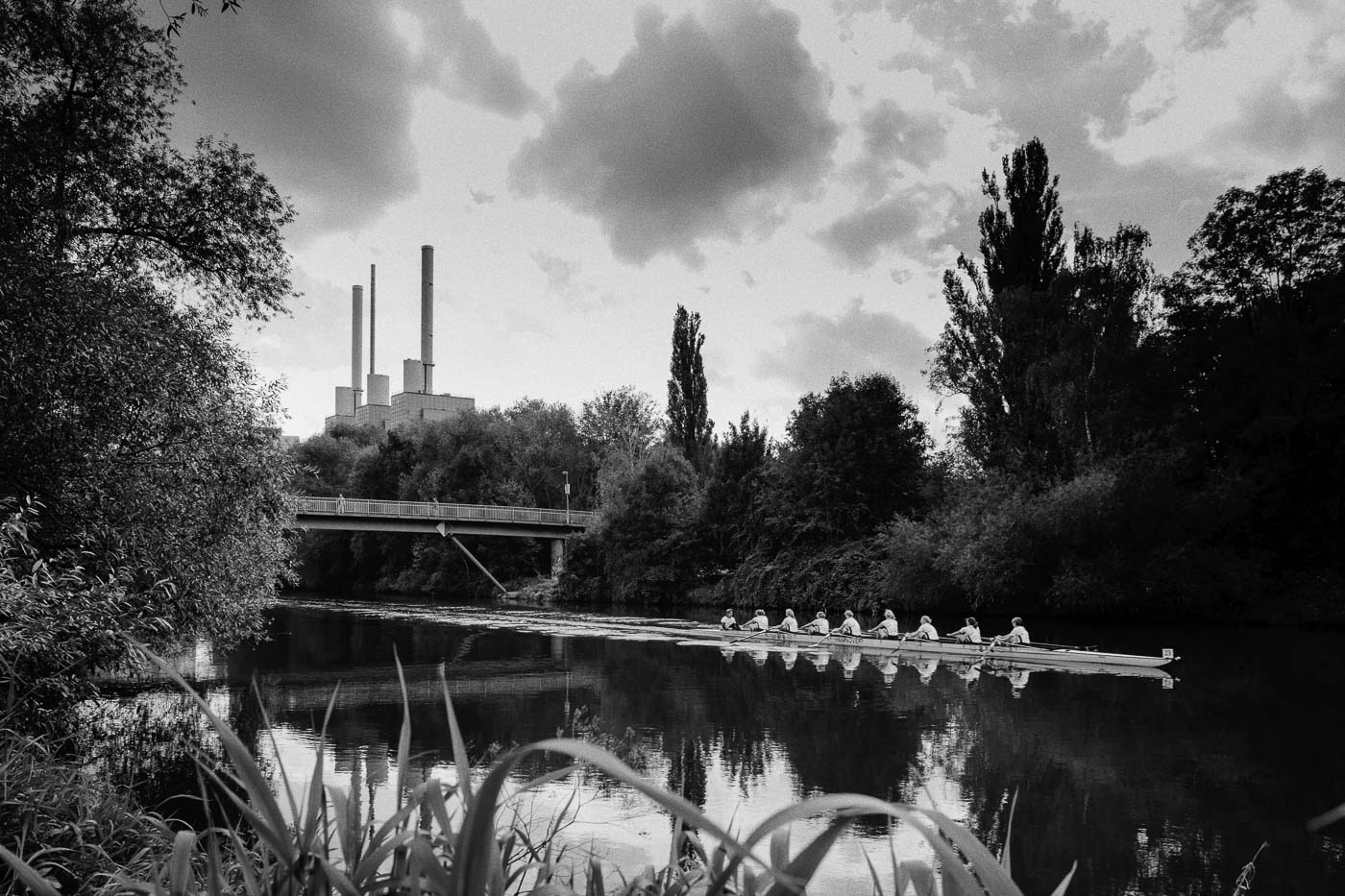 linden Linden . Head of River Leine