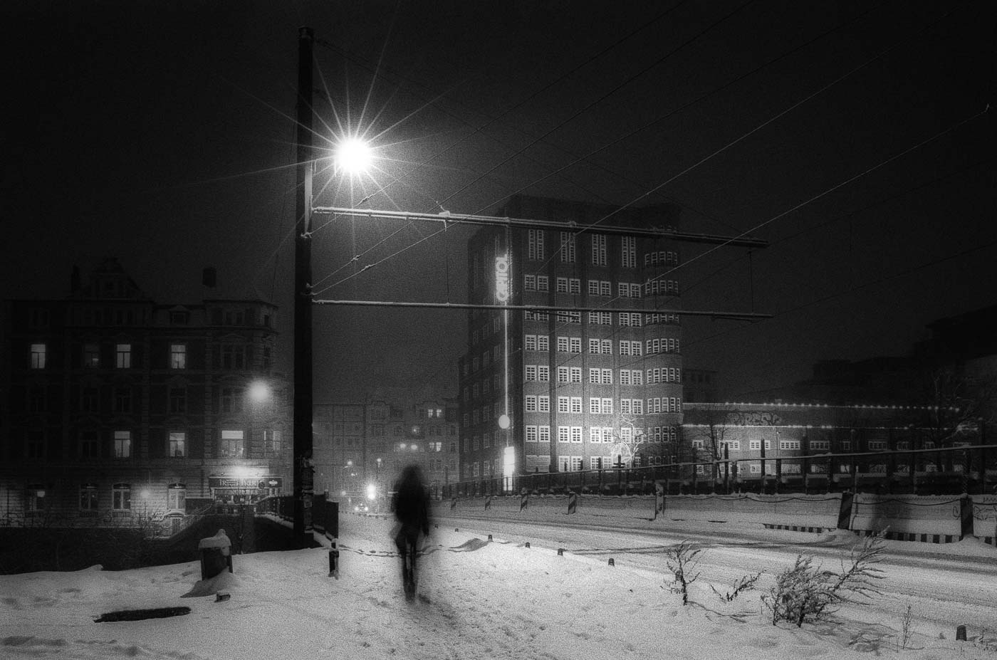 linden Linden . Schwarzer Bär . Schneenacht